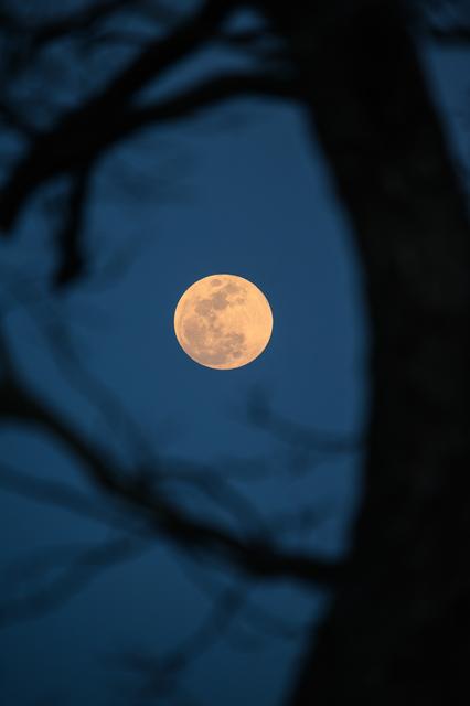 NASA image: Worm Moon March 2025