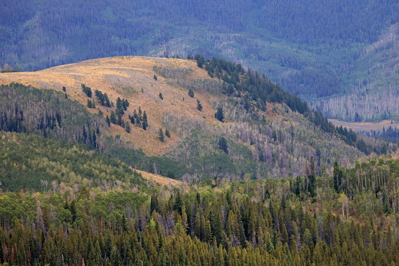 These photos and videos show how NASA certified a new lander flight training course using helicopters in the mountains of northern Colorado. NASA is partnering with the Colorado Army National Guard at its High-Altitude Army National Guard Aviation Training Site near Gypsum, Colorado, to develop the foundational flight training course that will help astronauts practice flight and landing procedures for the Moon. The certification marks an important milestone in crew training for Artemis missions to the Moon, when astronauts will use a commercial human landing system to land on the lunar surface. During the two-week certification run in late August 2025, NASA astronauts Matthew Dominick and Mark Vande Hei participated in flight and landing training to help certify the course. The pair, along with trained instructor pilots with the Army National Guard, took turns flying a helicopter and navigating to landing zones. Artemis flight crew trainers, mission control leads, and lunar lander operational experts from NASA Johnson joined them on each helicopter flight to assess the instruction, training environment, and technical applications for crewed lunar missions. For more information, contact NASA Marshall’s Office of Communications at 256-544