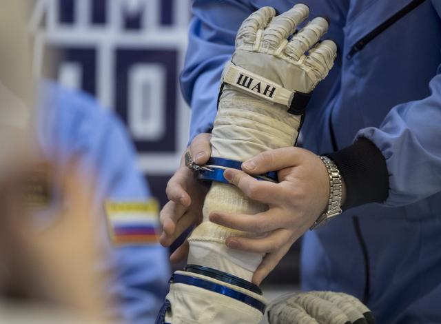 Expedition 54 Preflight