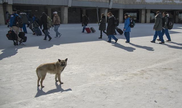 NASA image: Expedition 54 Landing Preparations