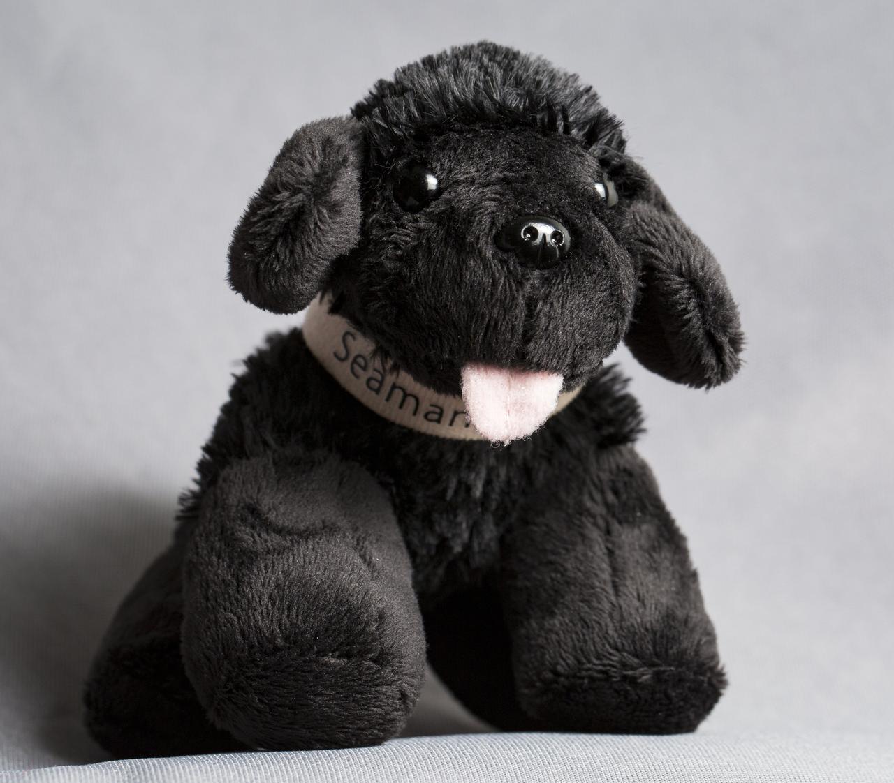 A toy dog named Seaman Jr., representing the Newfoundland that accompanied Lewis and Clark on their historic expedition in the 1800's, is seen here, Thursday, May 3, 2018 at NASA Headquarters in Washington. Seaman Jr. is headed to the International Space Station this summer to help celebrate NASA’s 60th Anniversary and the National Trail System’s 50th anniversary. Photo Credit: (NASA/Aubrey Gemignani)