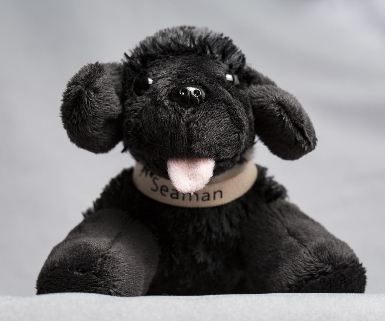 A toy dog named Seaman Jr., representing the Newfoundland that accompanied Lewis and Clark on their historic expedition in the 1800's, is seen here, Thursday, May 3, 2018 at NASA Headquarters in Washington. Seaman Jr. is headed to the International Space Station this summer to help celebrate NASA’s 60th Anniversary and the National Trail System’s 50th anniversary. Photo Credit: (NASA/Aubrey Gemignani)