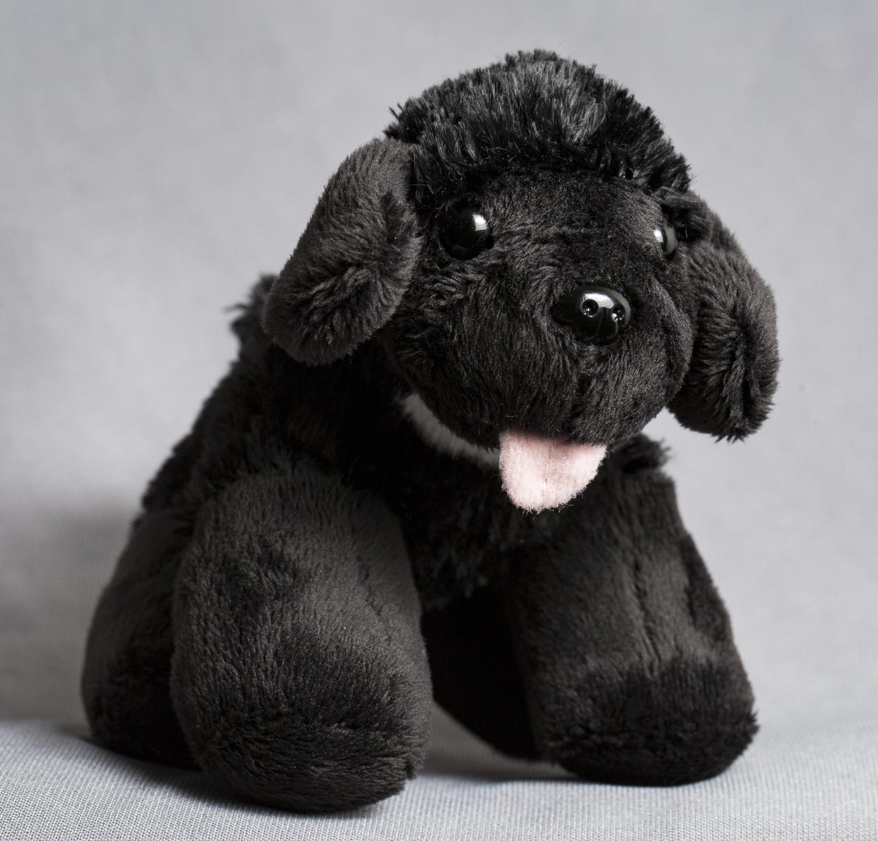 A toy dog named Seaman Jr., representing the Newfoundland that accompanied Lewis and Clark on their historic expedition in the 1800's, is seen here, Thursday, May 3, 2018 at NASA Headquarters in Washington. Seaman Jr. is headed to the International Space Station this summer to help celebrate NASA’s 60th Anniversary and the National Trail System’s 50th anniversary. Photo Credit: (NASA/Aubrey Gemignani)