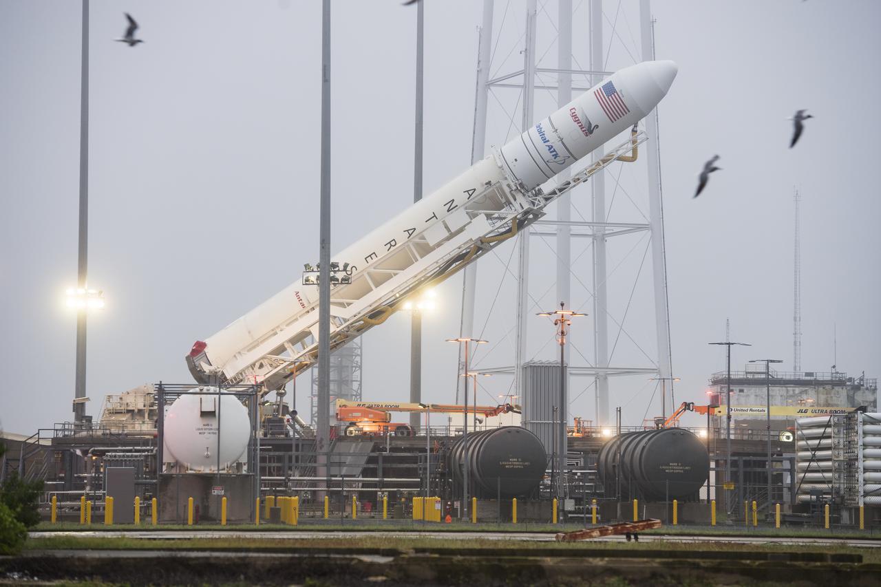 The Orbital ATK Antares rocket, with the Cygnus spacecraft onboard, is raised at launch Pad-0A, Friday, May 18, 2018 at Wallops Flight Facility in Virginia. The Antares will launch with the Cygnus spacecraft filled with 7,400 pounds of cargo for the International Space Station (ISS), including science experiments, crew supplies, and vehicle hardware. The mission is Orbital ATK's ninth contracted cargo delivery flight to ISS for NASA. Photo Credit: (NASA/Aubrey Gemignani)