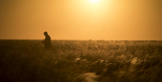 NASA image: Expedition 55 Soyuz MS-07 Landing