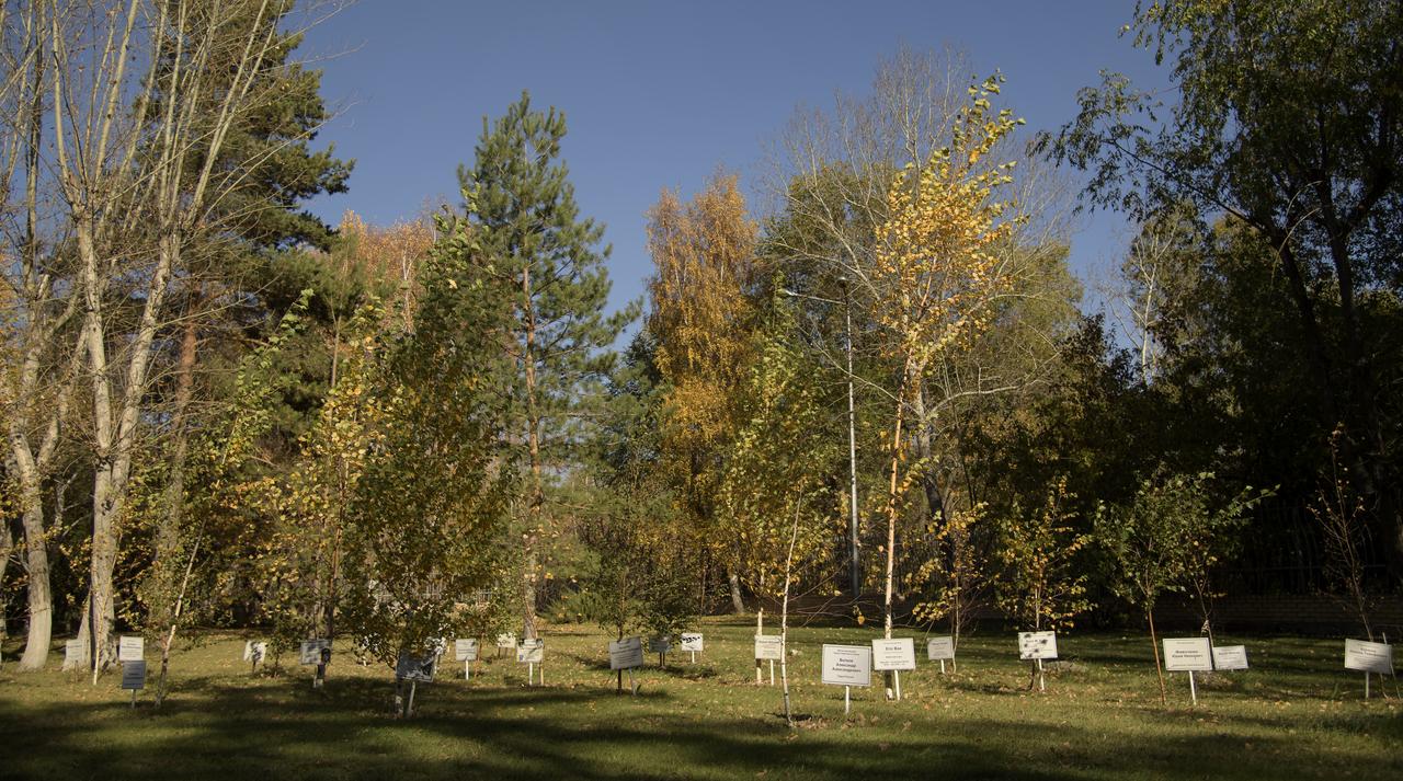 Trees planted by astronauts and cosmonauts that have flown in space are seen in front of the Cosmonaut Hotel in Karaganda, Kazakhstan, Tuesday, Oct. 2, 2018. NASA and Roscosmos team members, along with Russian Search and Recovery Forces, meet in Karaganda to discuss the readiness for the landing of Expedition 56 Commander Drew Feustel and Flight Engineer Ricky Arnold of NASA, along with Flight Engineer and Soyuz Commander Oleg Artemyev of Roscosmos. Photo Credit: (NASA/Bill Ingalls)