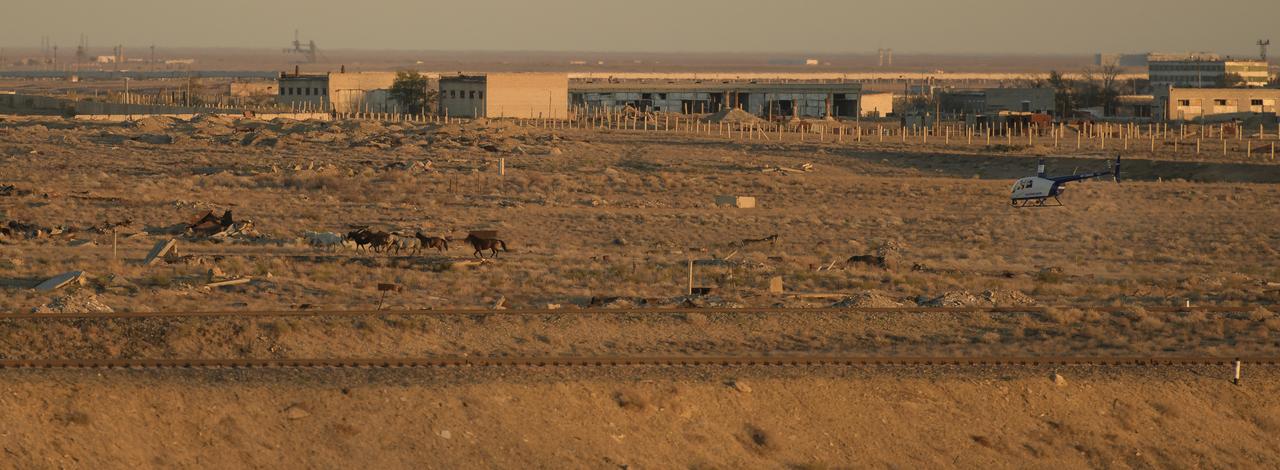 A security helicopter moves a heard of horses away from the train tracks in advance of the Soyuz rocket being rolled out to the launch pad, Tuesday, Oct. 9, 2018 at the Baikonur Cosmodrome in Kazakhstan. Expedition 57 crewmembers Nick Hague of NASA and Alexey Ovchinin of Roscosmos are scheduled to launch on October 11 and will spend the next six months living and working aboard the International Space Station. Photo Credit: (NASA/Bill Ingalls)