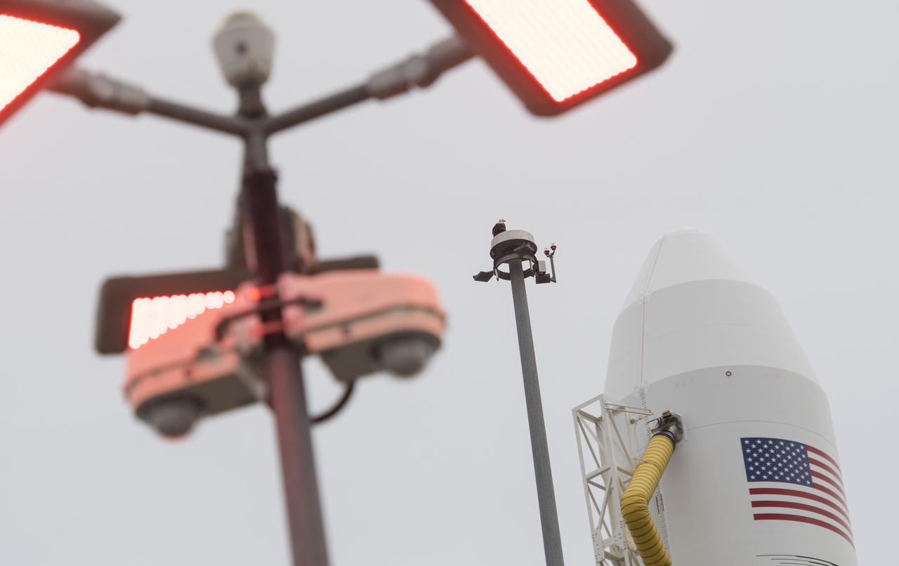 A bald eagle is seen atop a lightning tower next to the Northrop Grumman Antares rocket with, Cygnus spacecraft onboard, at Pad-0A, Wednesday, Nov. 14, 2018 at NASA's Wallops Flight Facility in Virginia. Northrop Grumman's 10th contracted cargo resupply mission for NASA to the International Space Station will deliver about 7,400 pounds of science and research, crew supplies and vehicle hardware to the orbital laboratory and its crew. Launch is currently scheduled for Nov. 16 at 4:23 a.m. EST. Photo Credit: (NASA/Joel Kowsky)