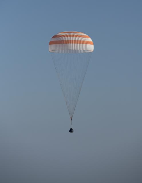 NASA image: Expedition 59 Soyuz MS-11 Landing