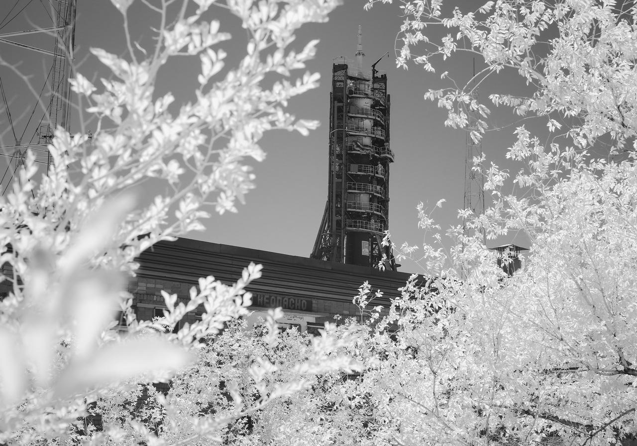 In this black and white infrared image, the Soyuz rocket is seen on the launch pad after the service structure arms were closed around it, Thursday, July 18, 2019 at the Baikonur Cosmodrome in Kazakhstan. Expedition 60 Soyuz Commander Alexander Skvortsov of Roscosmos, flight engineer Andrew Morgan of NASA, and flight engineer Luca Parmitano of ESA (European Space Agency) are scheduled to launch aboard their Soyuz MS-13 spacecraft at 12:28 p.m. Eastern time (9:28 p.m. Baikonur time), on Saturday, July 20.  Photo Credit: (NASA/Joel Kowsky)