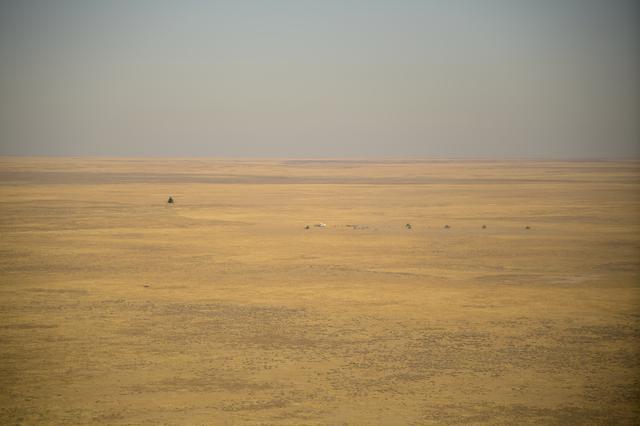 NASA image: Expedition 60 Soyuz MS-12 Landing