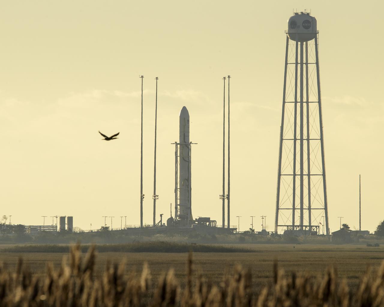 The Northrop Grumman Antares rocket is seen prior to the planned launch, Saturday, November 2, 2019, at NASA's Wallops Flight Facility in Virginia. Northrop Grumman’s 12th contracted cargo resupply mission with NASA to the International Space Station will deliver about 8,200 pounds of science and research, crew supplies and vehicle hardware to the orbital laboratory and its crew. Photo Credit: (NASA/Bill Ingalls)