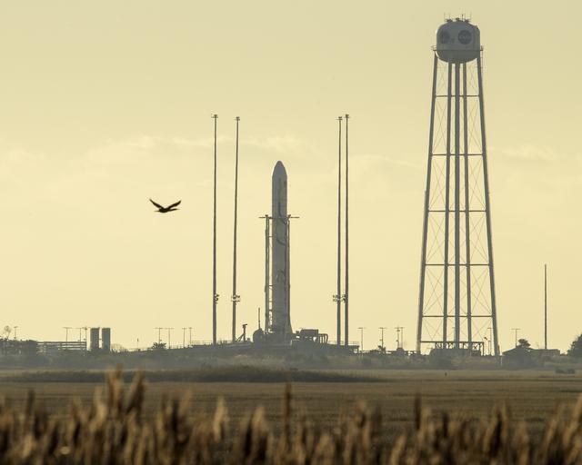 NASA image: Northrop Grumman Antares CRS-12 Prelaunch