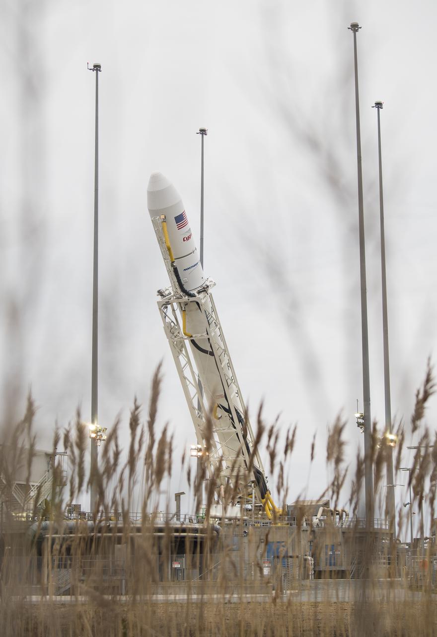 The Northrop Grumman Antares rocket is lowered into a horizontal position to refresh and reload the final cargo into the Cygnus resupply spacecraft, Wednesday, Feb. 12, 2020, at launch Pad-0A of NASA's Wallops Flight Facility in Virginia. Northrop Grumman’s 13th contracted cargo resupply mission with NASA to the International Space Station will deliver more than 7,500 pounds of science and research, crew supplies and vehicle hardware to the orbital laboratory and its crew. Photo Credit: (NASA/Aubrey Gemignani)