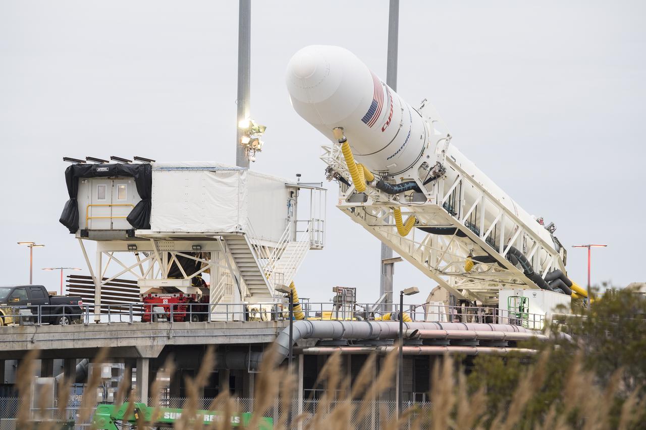 The Northrop Grumman Antares rocket is lowered into a horizontal position to refresh and reload the final cargo into the Cygnus resupply spacecraft, Wednesday, Feb. 12, 2020, at launch Pad-0A of NASA's Wallops Flight Facility in Virginia. Northrop Grumman’s 13th contracted cargo resupply mission with NASA to the International Space Station will deliver more than 7,500 pounds of science and research, crew supplies and vehicle hardware to the orbital laboratory and its crew. Photo Credit: (NASA/Aubrey Gemignani)