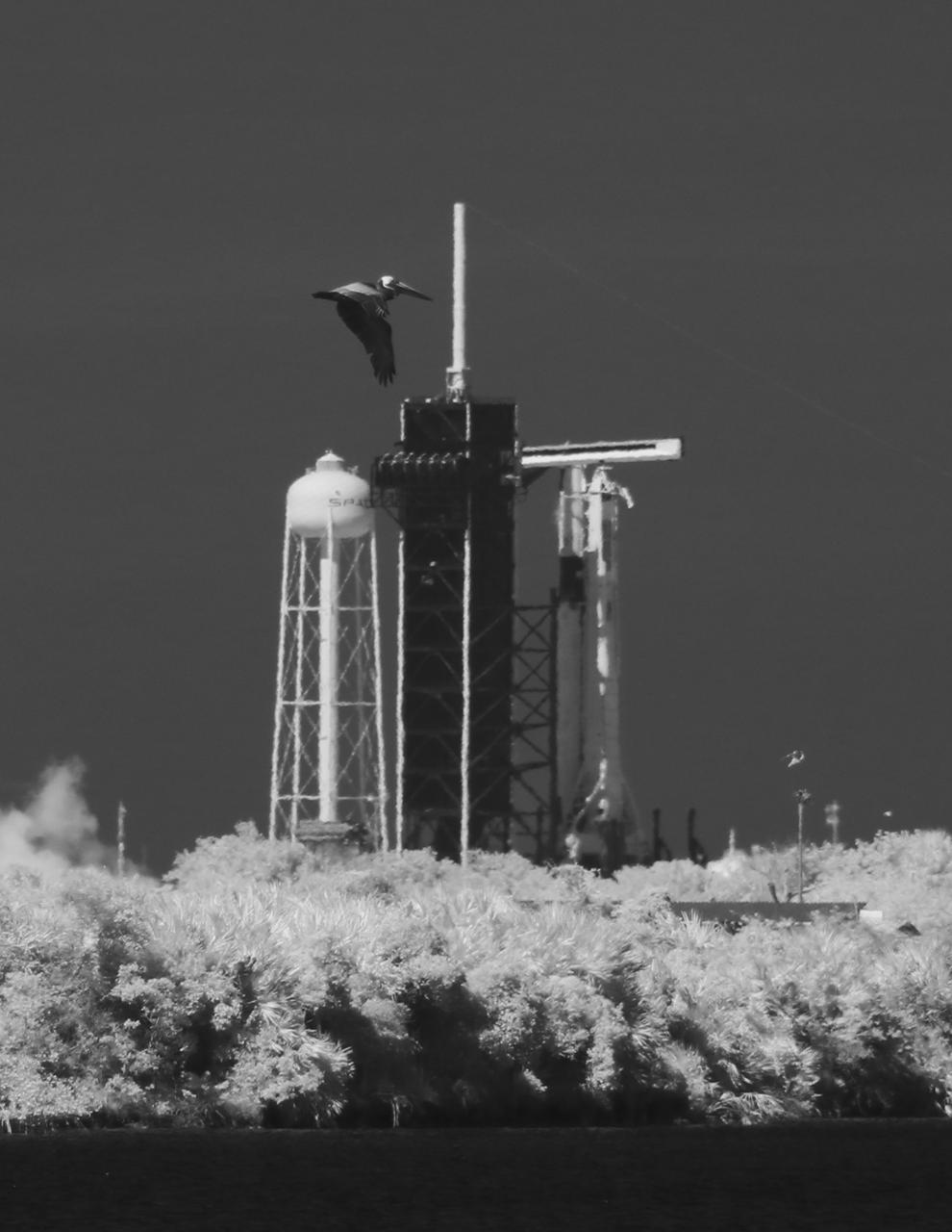 In this black and white infrared image, a SpaceX Falcon 9 rocket with the company's Crew Dragon spacecraft onboard is seen on the launch pad at Launch Complex 39A following a brief static fire test ahead of NASA’s SpaceX Demo-2 mission, Friday, May 22, 2020, at NASA’s Kennedy Space Center in Florida. NASA’s SpaceX Demo-2 mission is the first launch with astronauts of the SpaceX Crew Dragon spacecraft and Falcon 9 rocket to the International Space Station as part of the agency’s Commercial Crew Program. The test flight serves as an end-to-end demonstration of SpaceX’s crew transportation system. Robert Behnken and Douglas Hurley are scheduled to launch at 4:33 p.m. EDT on Wednesday, May 27, from Launch Complex 39A at the Kennedy Space Center. A new era of human spaceflight is set to begin as American astronauts once again launch on an American rocket from American soil to low-Earth orbit for the first time since the conclusion of the Space Shuttle Program in 2011. Photo Credit: (NASA/Joel Kowsky)