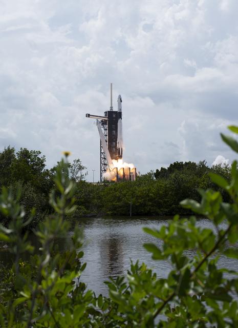 NASA image: SpaceX Demo-2 Launch