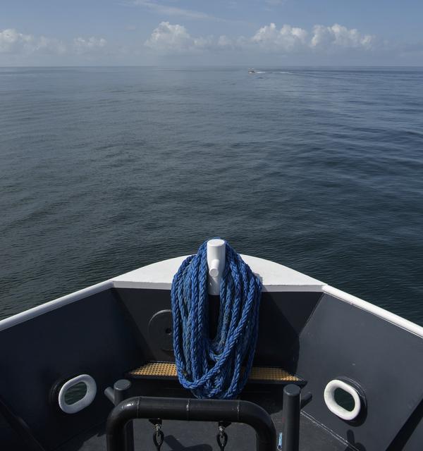 NASA image: SpaceX Demo-2 Pre-Landing