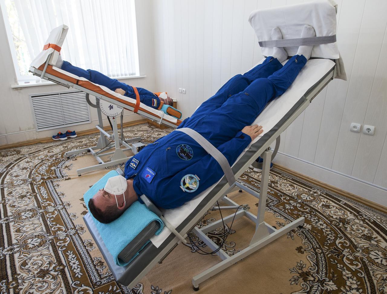 Expedition 64 Russian cosmonauts Sergey Ryzhikov, back, and Sergey Kud-Sverchkov of Roscosmos, front, take part in tilt table training, Tuesday, Oct. 6, 2020, at the Cosmonaut Hotel in Baikonur, Kazakhstan. Ryzhikov, Kud-Sverchkov, and Kate Rubins of NASA are scheduled to launch to the International Space Station aboard the Soyuz MS-17 spacecraft on October 14. Photo Credit: (NASA/GCTC/Andrey Shelepin)