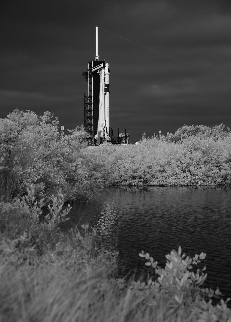 In this black and white infrared image, a SpaceX Falcon 9 rocket with the company's Crew Dragon spacecraft onboard is seen on the launch pad at Launch Complex 39A as preparations continue for the Crew-1 mission, Friday, Nov. 13, 2020, at NASA’s Kennedy Space Center in Florida. NASA’s SpaceX Crew-1 mission is the first crew rotation mission of the SpaceX Crew Dragon spacecraft and Falcon 9 rocket to the International Space Station as part of the agency’s Commercial Crew Program. NASA astronauts Mike Hopkins, Victor Glover, and Shannon Walker, and astronaut Soichi Noguchi of the Japan Aerospace Exploration Agency (JAXA) launched at 7:27 p.m. EST on Sunday, Nov. 15, from Launch Complex 39A at the Kennedy Space Center. Photo Credit: (NASA/Joel Kowsky)