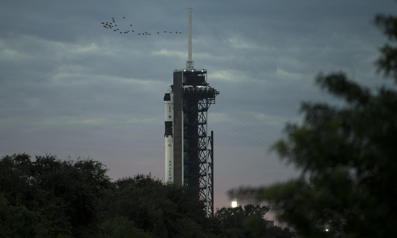 A SpaceX Falcon 9 rocket with the company's Crew Dragon spacecraft onboard is seen on the launch pad at Launch Complex 39A as preparations continue for the Crew-1 mission, Sunday, Nov. 15, 2020, at NASA’s Kennedy Space Center in Florida. NASA’s SpaceX Crew-1 mission is the first crew rotation mission of the SpaceX Crew Dragon spacecraft and Falcon 9 rocket to the International Space Station as part of the agency’s Commercial Crew Program. NASA astronauts Mike Hopkins, Victor Glover, and Shannon Walker, and astronaut Soichi Noguchi of the Japan Aerospace Exploration Agency (JAXA) are scheduled to launch at 7:27 p.m. EST on Sunday, Nov. 15, from Launch Complex 39A at the Kennedy Space Center. Photo Credit: (NASA/Joel Kowsky)