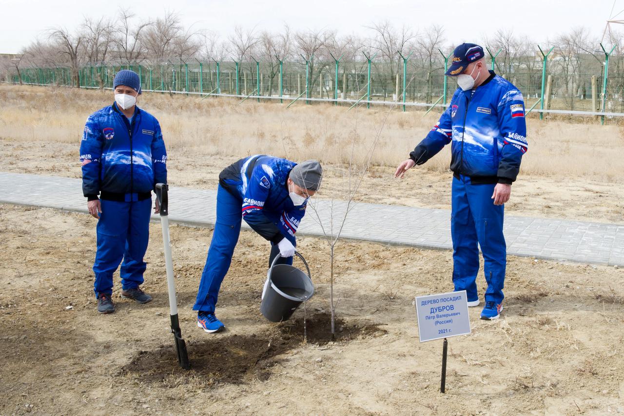 Expedition 65 prime crew member Pyotr Dubrov of Roscosmos waters a tree bearing his name while crew mates NASA astronaut Mark Vande Hei, left, watches and Oleg Novitskiy of Roscosmos, holds it straight for him, as part of traditional pre-launch activities, Saturday, April 3, 2021, at the Cosmonaut Hotel in Baikonur, Kazakhstan. The trio are scheduled to launch to the International Space Station aboard the Soyuz MS-18 spacecraft on April 9. Photo Credit: (NASA/GCTC/Irina Spector)