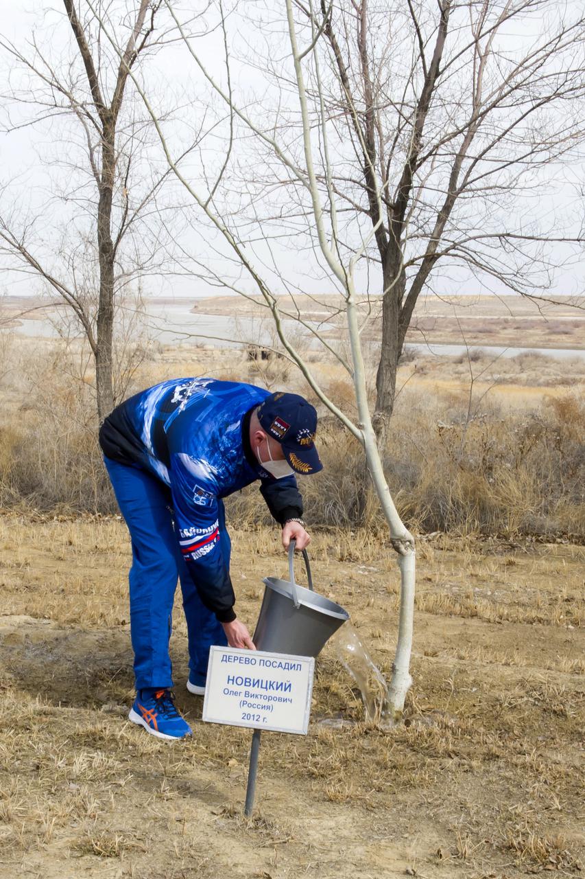 Expedition 65 prime crew member Oleg Novitskiy of Roscosmos waters a tree bearing his name as part of traditional pre-launch activities, Saturday, April 3, 2021, at the Cosmonaut Hotel in Baikonur, Kazakhstan. Novitskiy, and crew mates NASA astronaut Mark Vande Hei, and Pyotr Dubrov of Roscosmos are scheduled to launch to the International Space Station aboard the Soyuz MS-18 spacecraft on April 9. Photo Credit: (NASA/GCTC/Irina Spector)