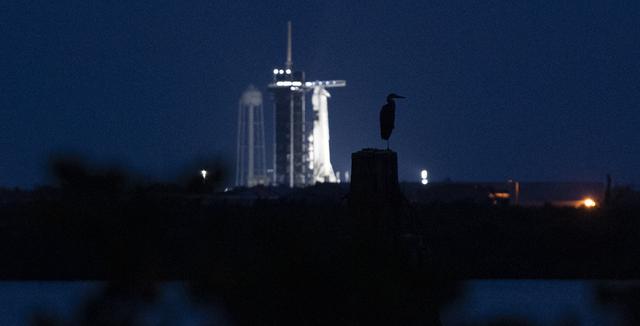 A heron is seen in the Turning Basin just before sunrise following the static fire test of a SpaceX Falcon 9 rocket with the company's Crew Dragon spacecraft onboard at Launch Complex 39A ahead of NASA’s SpaceX Crew-2 mission, Saturday, April 17, 2021, at NASA’s Kennedy Space Center in Florida. NASA’s SpaceX Crew-2 mission is the second crew rotation mission of the SpaceX Crew Dragon spacecraft and Falcon 9 rocket to the International Space Station as part of the agency’s Commercial Crew Program. NASA astronauts Shane Kimbrough and Megan McArthur, ESA (European Space Agency) astronaut Thomas Pesquet, and Japan Aerospace Exploration Agency (JAXA) astronaut Akihiko Hoshide are scheduled to launch at 6:11 a.m. ET on Thursday, April 22, from Launch Complex 39A at the Kennedy Space Center. Photo Credit: (NASA/Joel Kowsky)