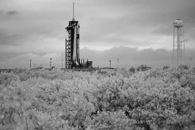 NASA image: SpaceX Crew-2 Preflight