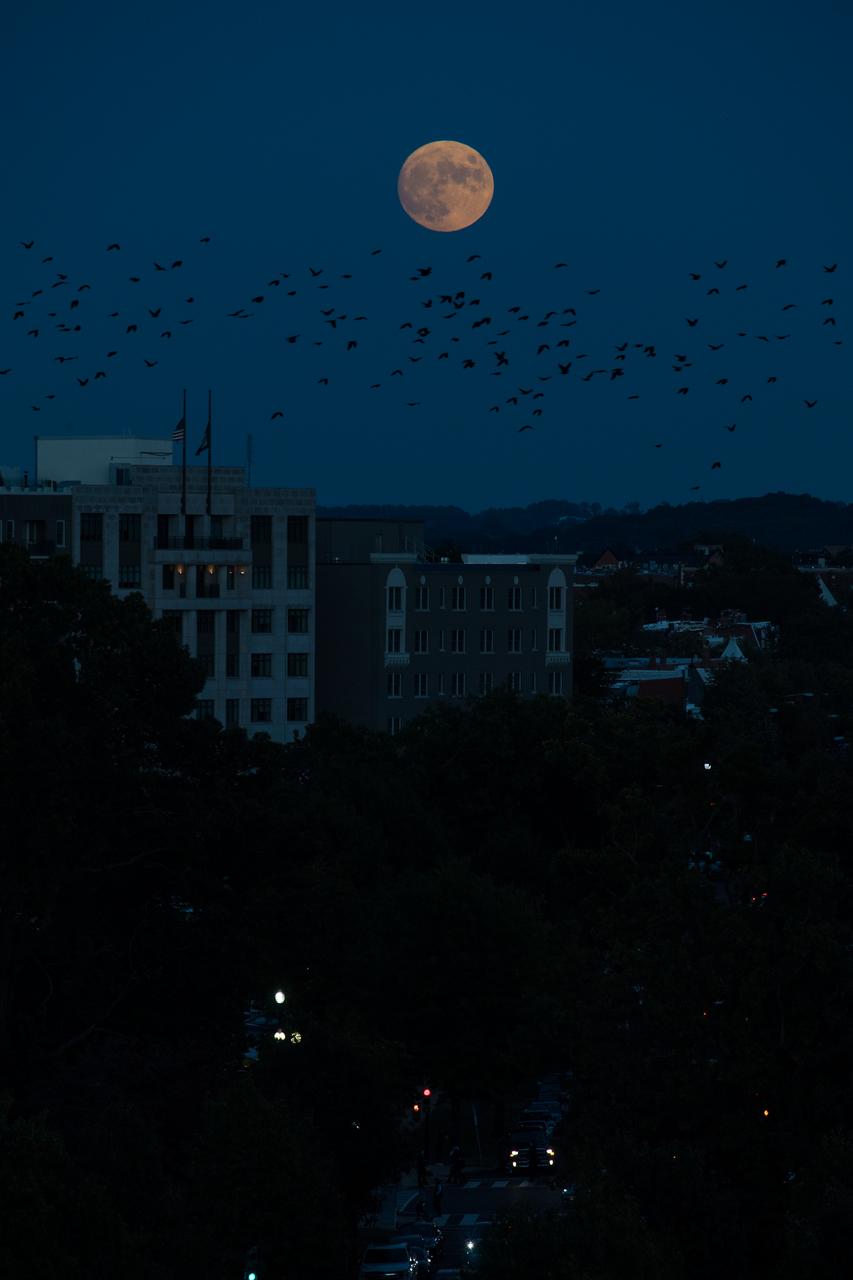 The nearly full Moon is seen as it rises from The Observatory at America’s Square in Washington, Tuesday, Oct. 19, 2021. Photo Credit: (NASA/Aubrey Gemignani)