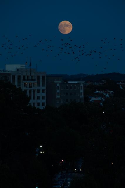 NASA image: Moonrise Over Washington