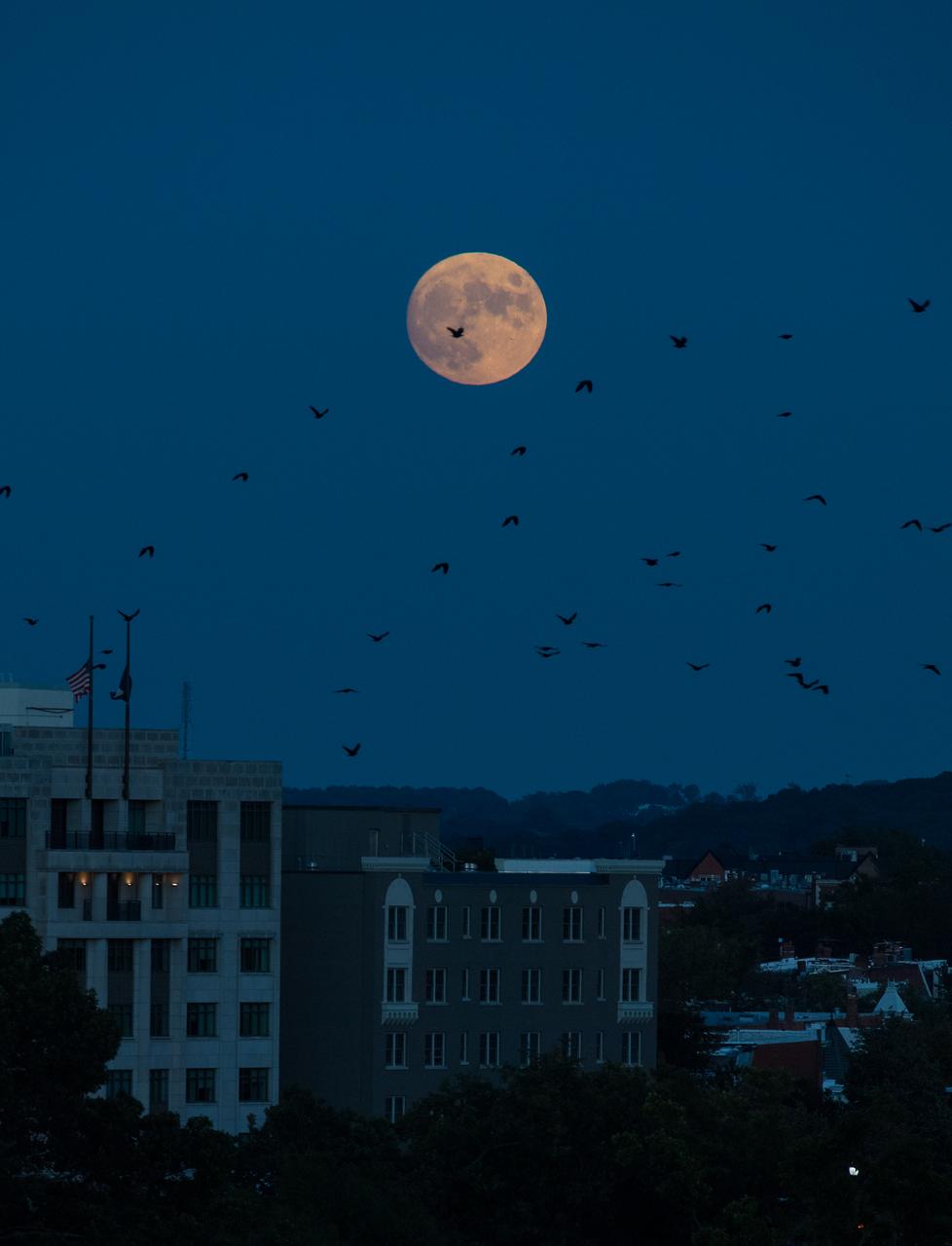 The nearly full Moon is seen as it rises from The Observatory at America’s Square in Washington, Tuesday, Oct. 19, 2021. Photo Credit: (NASA/Aubrey Gemignani)
