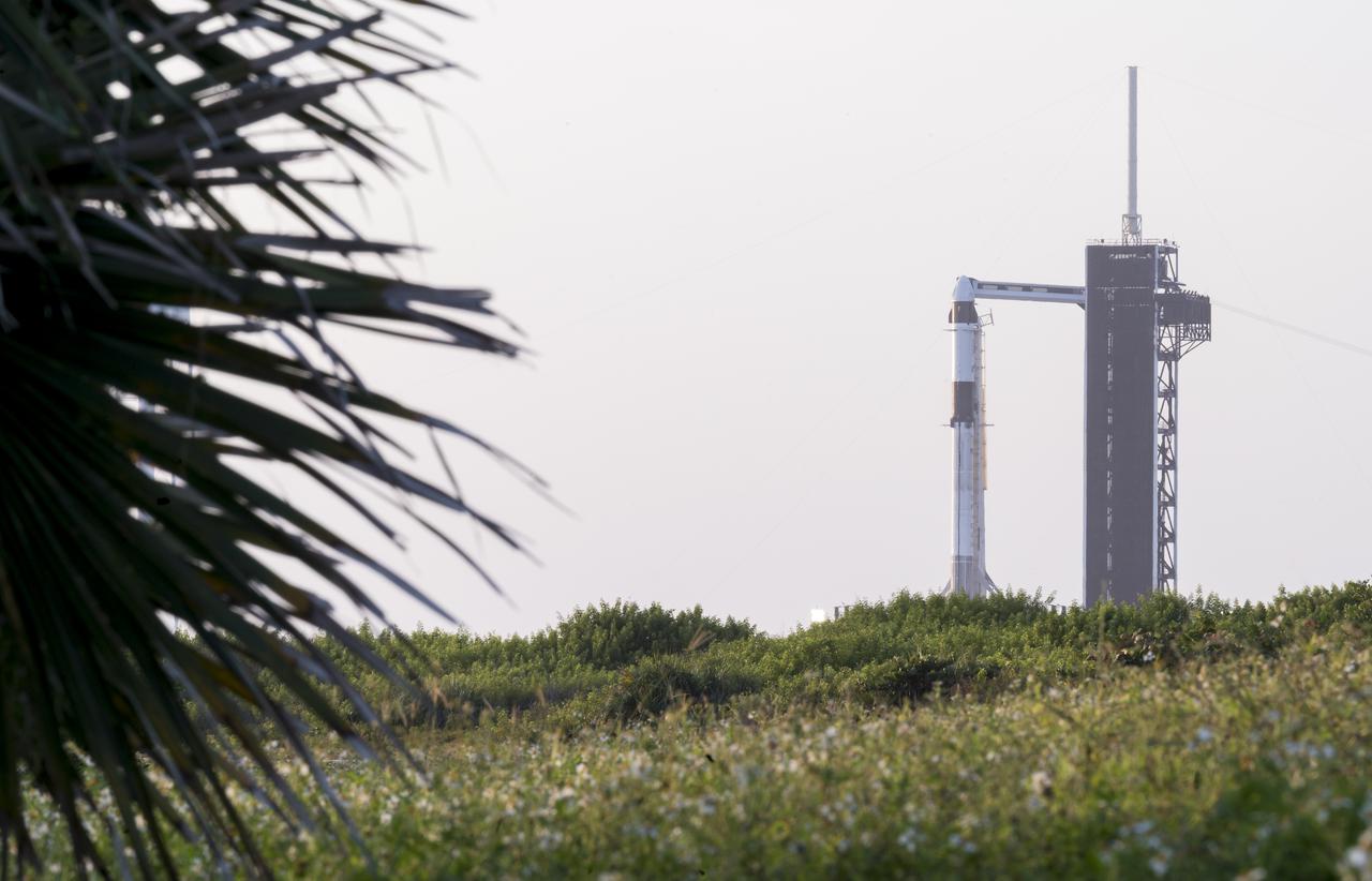 A SpaceX Falcon 9 rocket with the company's Crew Dragon spacecraft onboard is seen on the launch pad at Launch Complex 39A as preparations continue for the Crew-3 mission, Friday, Oct. 29, 2021, at NASA’s Kennedy Space Center in Florida. NASA’s SpaceX Crew-3 mission is the third crew rotation mission of the SpaceX Crew Dragon spacecraft and Falcon 9 rocket to the International Space Station as part of the agency’s Commercial Crew Program. NASA astronauts Raja Chari, Tom Marshburn, Kayla Barron, and ESA (European Space Agency) astronaut Matthias Maurer are scheduled to launch on Oct. 31 at 2:21 a.m. ET, from Launch Complex 39A at the Kennedy Space Center. Photo Credit: (NASA/Aubrey Gemignani)