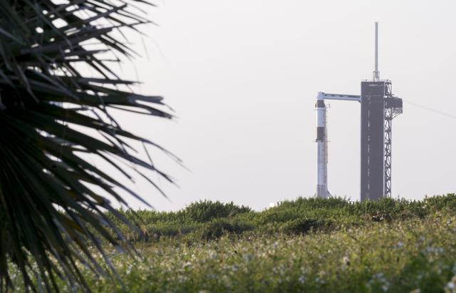 NASA image: SpaceX Crew-3 Preflight