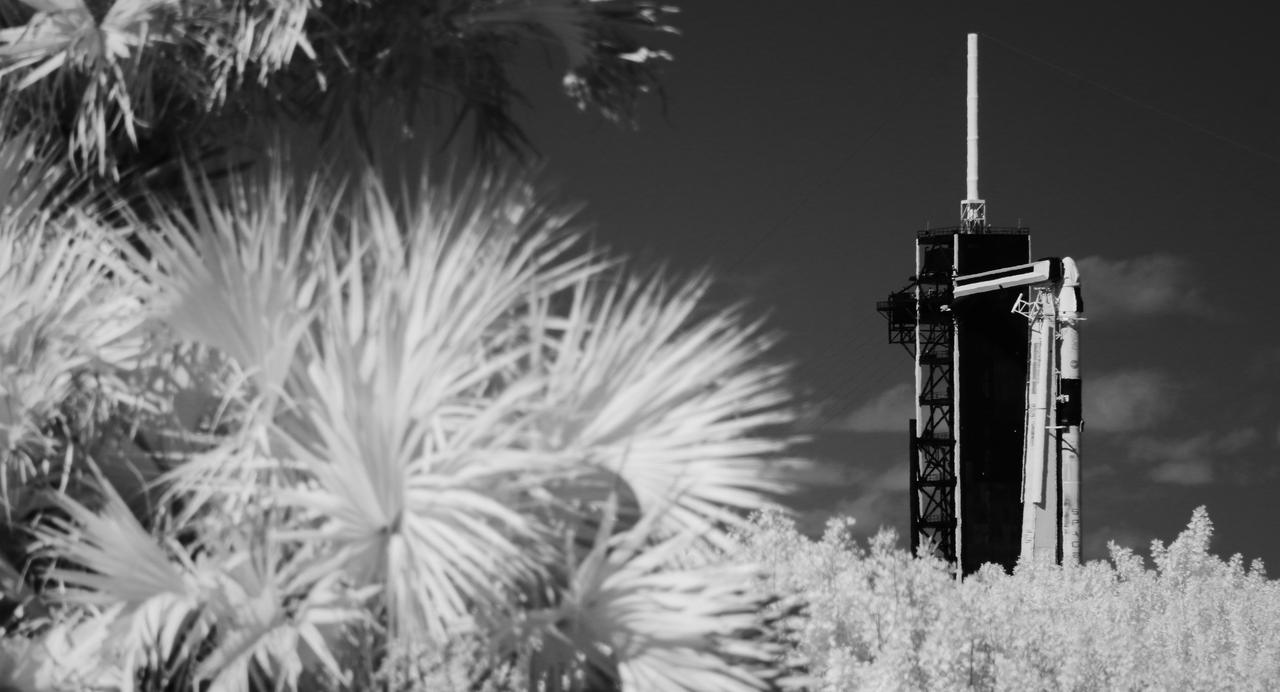 In this black and white infrared image, a SpaceX Falcon 9 rocket with the company's Crew Dragon spacecraft onboard is seen on the launch pad at Launch Complex 39A as preparations continue for the Crew-3 mission, Sunday, Oct. 31, 2021, at NASA’s Kennedy Space Center in Florida. NASA’s SpaceX Crew-3 mission is the third crew rotation mission of the SpaceX Crew Dragon spacecraft and Falcon 9 rocket to the International Space Station as part of the agency’s Commercial Crew Program. NASA astronauts Raja Chari, Tom Marshburn, Kayla Barron, and ESA (European Space Agency) astronaut Matthias Maurer are scheduled to launch on Nov. 3 at 1:10 a.m. ET, from Launch Complex 39A at the Kennedy Space Center. Photo Credit: (NASA/Joel Kowsky)