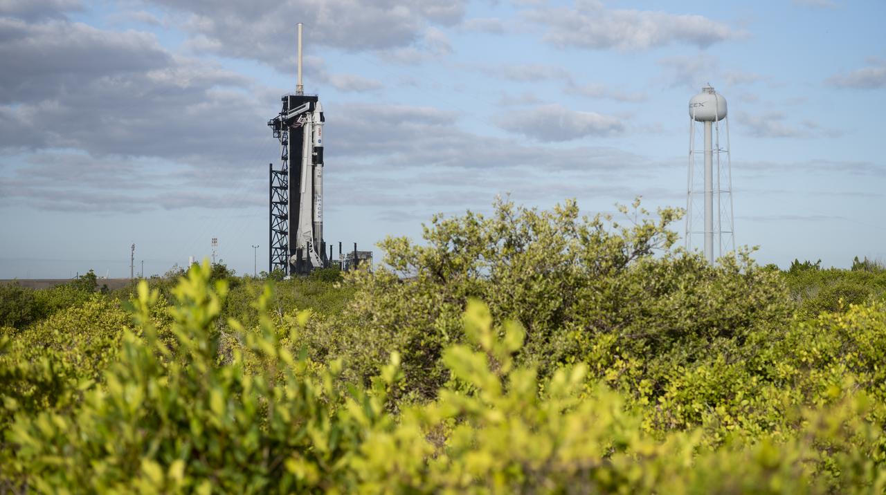 A SpaceX Falcon 9 rocket with the company's Crew Dragon spacecraft onboard is seen on the launch pad at Launch Complex 39A as preparations continue for the Crew-3 mission, Tuesday, Nov. 9, 2021, at NASA’s Kennedy Space Center in Florida. NASA’s SpaceX Crew-3 mission is the third crew rotation mission of the SpaceX Crew Dragon spacecraft and Falcon 9 rocket to the International Space Station as part of the agency’s Commercial Crew Program. NASA astronauts Raja Chari, Tom Marshburn, Kayla Barron, and ESA (European Space Agency) astronaut Matthias Maurer are scheduled to launch no earlier than Nov. 10 at 9:03 p.m. EST, from Launch Complex 39A at the Kennedy Space Center. Photo Credit: (NASA/Joel Kowsky)
