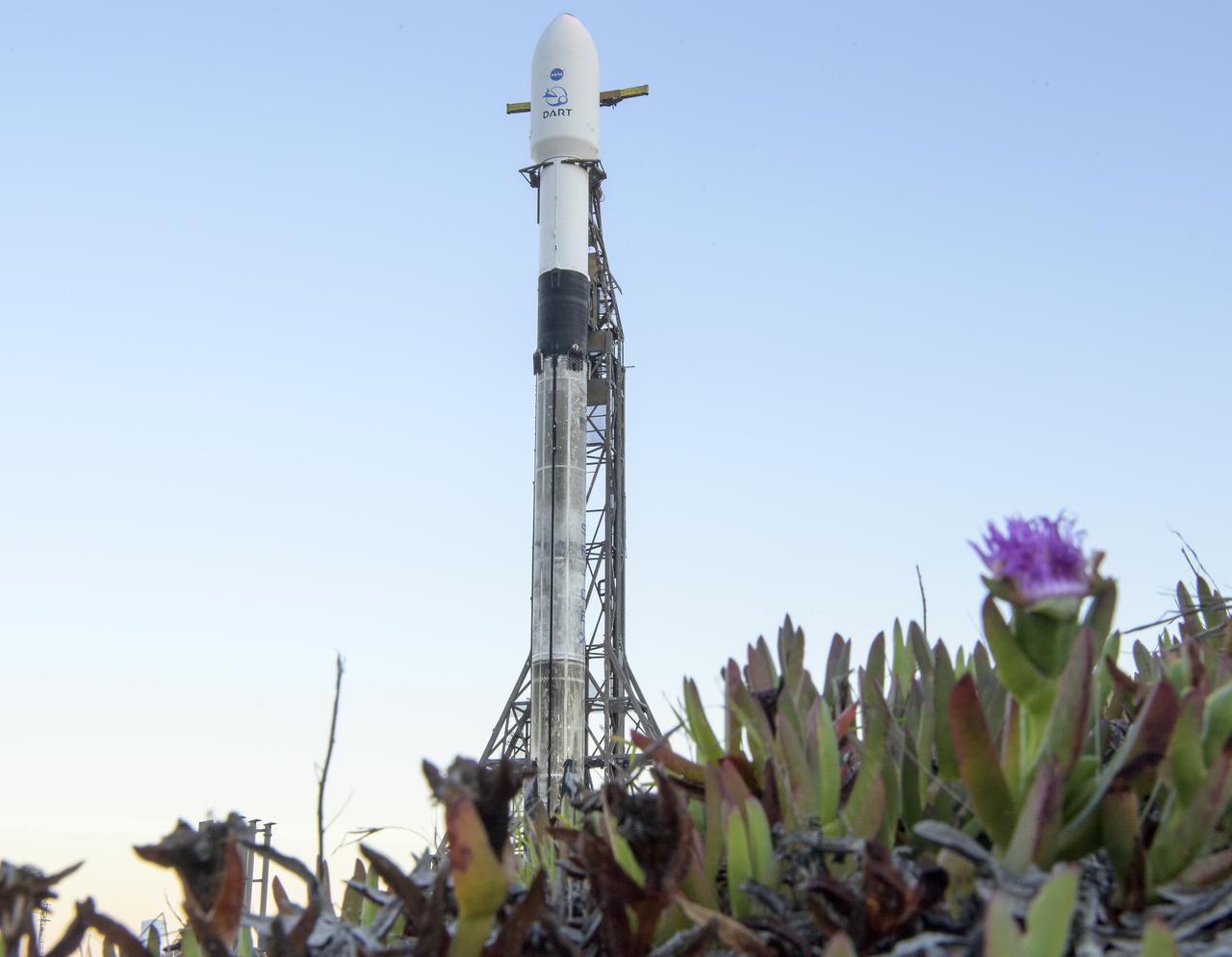The SpaceX Falcon 9 rocket with the Double Asteroid Redirection Test, or DART, spacecraft onboard, is seen during sunrise, Tuesday, Nov. 23, 2021, at Space Launch Complex 4E, Vandenberg Space Force Base in California. DART is the world’s first full-scale planetary defense test, demonstrating one method of asteroid deflection technology. The mission was built and is managed by the Johns Hopkins APL for NASA’s Planetary Defense Coordination Office. Photo Credit: (NASA/Bill Ingalls)