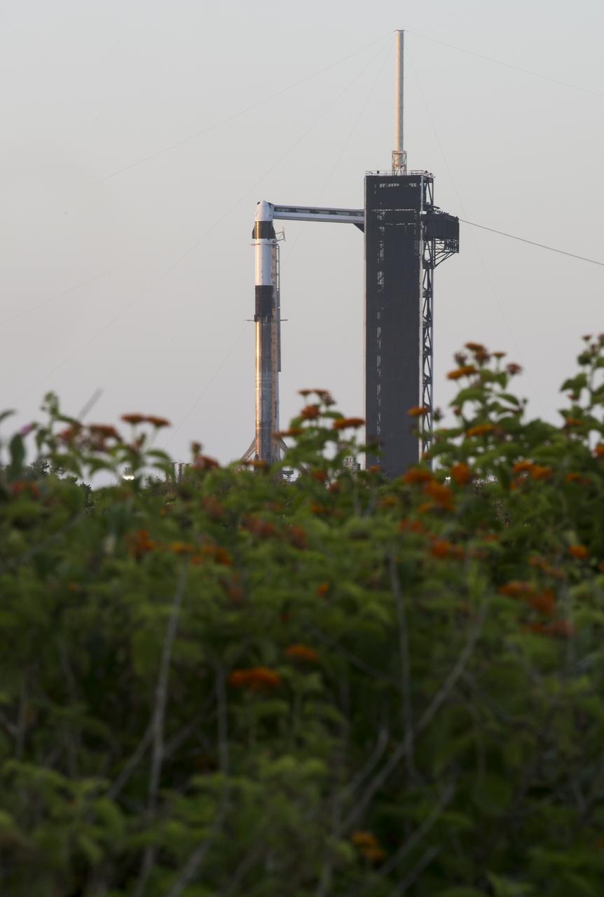 A SpaceX Falcon 9 rocket with the company's Crew Dragon spacecraft onboard is seen on the launch pad at sunrise at Launch Complex 39A as preparations continue for the Crew-4 mission, Monday, April 25, 2022, at NASA’s Kennedy Space Center in Florida. NASA’s SpaceX Crew-4 mission is the fourth crew rotation mission of the SpaceX Crew Dragon spacecraft and Falcon 9 rocket to the International Space Station as part of the agency’s Commercial Crew Program. NASA astronauts Kjell Lindgren, Robert Hines, Jessica Watkins, and ESA (European Space Agency) astronaut Samantha Cristoforetti are scheduled to launch no earlier than April 27, from Launch Complex 39A at the Kennedy Space Center. Photo Credit: (NASA/Aubrey Gemignani)