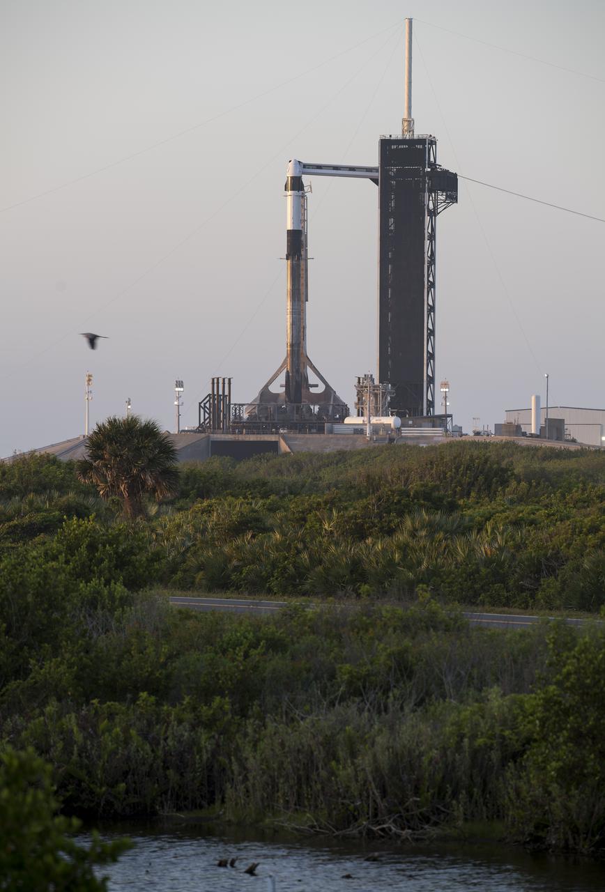 A SpaceX Falcon 9 rocket with the company's Crew Dragon spacecraft onboard is seen on the launch pad at sunrise at Launch Complex 39A as preparations continue for the Crew-4 mission, Monday, April 25, 2022, at NASA’s Kennedy Space Center in Florida. NASA’s SpaceX Crew-4 mission is the fourth crew rotation mission of the SpaceX Crew Dragon spacecraft and Falcon 9 rocket to the International Space Station as part of the agency’s Commercial Crew Program. NASA astronauts Kjell Lindgren, Robert Hines, Jessica Watkins, and ESA (European Space Agency) astronaut Samantha Cristoforetti are scheduled to launch no earlier than April 27, from Launch Complex 39A at the Kennedy Space Center. Photo Credit: (NASA/Aubrey Gemignani)