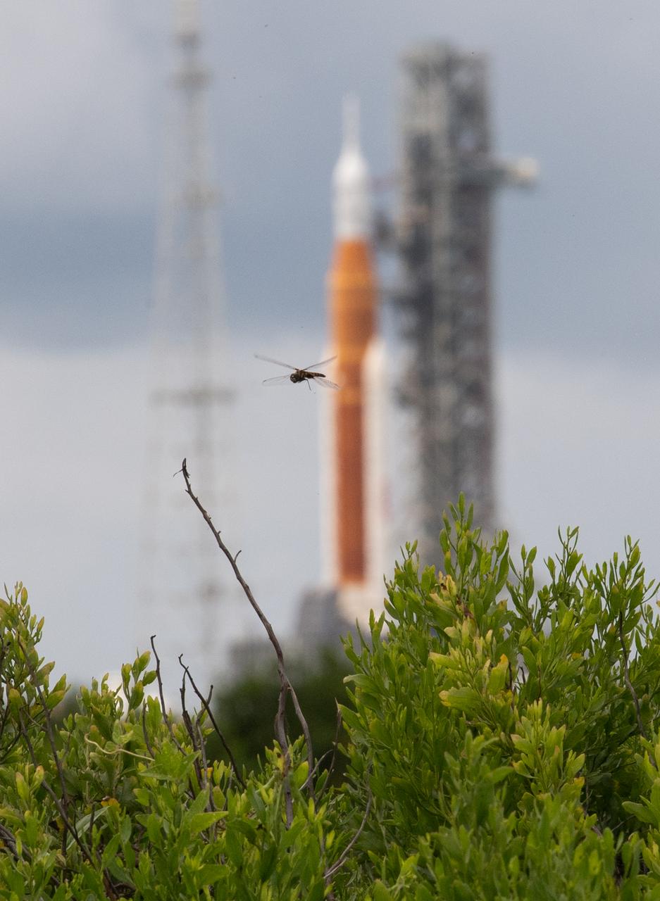 A dragonfly is seen in front of NASA’s Space Launch System (SLS) rocket with the Orion spacecraft aboard atop a mobile launcher at Launch Pad 39B as preparations for launch continue, Sunday, Aug. 28, 2022, at NASA’s Kennedy Space Center in Florida. NASA’s Artemis I flight test is the first integrated test of the agency’s deep space exploration systems: the Orion spacecraft, SLS rocket, and supporting ground systems. Launch of the uncrewed flight test is targeted for no earlier than Aug. 29 at 8:33 a.m. ET. Photo Credit: (NASA/Joel Kowsky)