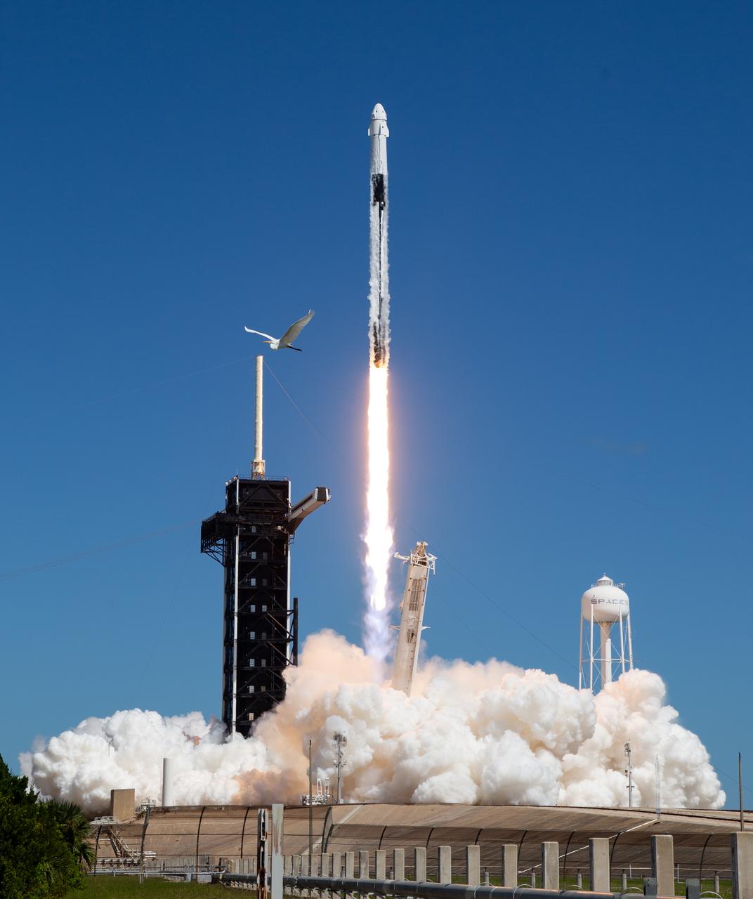 A SpaceX Falcon 9 rocket carrying the company's Crew Dragon spacecraft is launched on NASA’s SpaceX Crew-5 mission to the International Space Station with NASA astronauts Nicole Mann and Josh Cassada, Japan Aerospace Exploration Agency (JAXA) astronaut Koichi Wakata, and Roscosmos cosmonaut Anna Kikina onboard, Wednesday, Oct. 5, 2022, at NASA’s Kennedy Space Center in Florida. NASA’s SpaceX Crew-5 mission is the fifth crew rotation mission of the SpaceX Crew Dragon spacecraft and Falcon 9 rocket to the International Space Station as part of the agency’s Commercial Crew Program. Mann, Cassada, Wakata, and Kikini launched at 12:00 p.m. EDT from Launch Complex 39A at the Kennedy Space Center to begin a six month mission onboard the orbital outpost. Photo Credit: (NASA/Joel Kowsky)