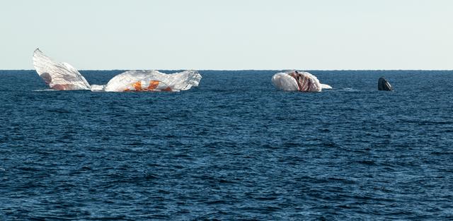 NASA image: NASA’s SpaceX Crew-4 Splashdown