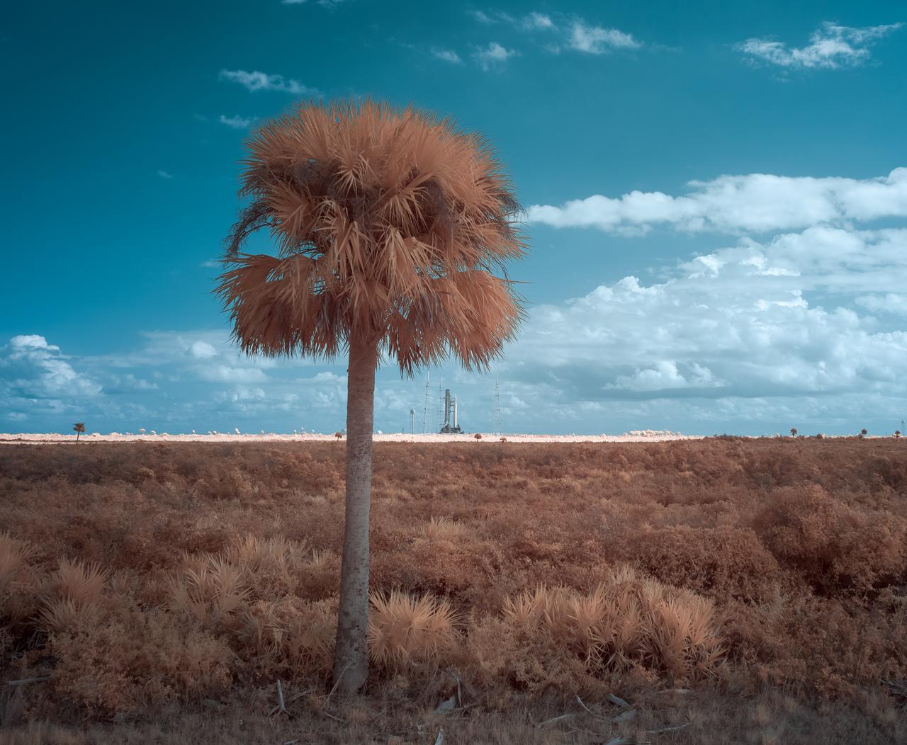 NASA’s Space Launch System (SLS) rocket with the Orion spacecraft aboard atop a mobile launcher is seen in this false color infrared exposure at Launch Pad 39B as preparations for launch continue, Monday, Nov. 14, 2022, at NASA’s Kennedy Space Center in Florida. NASA’s Artemis I flight test is the first integrated test of the agency’s deep space exploration systems: the Orion spacecraft, SLS rocket, and supporting ground systems. Launch of the uncrewed flight test is targeted for no earlier than Nov. 16 at 1:04 a.m. EST. Photo Credit: (NASA/Bill Ingalls)