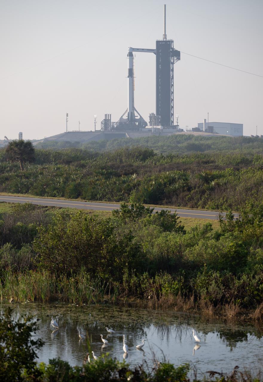 A SpaceX Falcon 9 rocket with the company's Dragon spacecraft on top is seen on the launch pad at Launch Complex 39A as preparations continue for the Crew-6 mission, Wednesday, March 1, 2023, at NASA’s Kennedy Space Center in Florida. NASA’s SpaceX Crew-6 mission is the sixth crew rotation mission of the SpaceX Crew Dragon spacecraft and Falcon 9 rocket to the International Space Station as part of the agency’s Commercial Crew Program. NASA astronauts Stephen Bowen and Warren "Woody" Hoburg, UAE (United Arab Emirates) astronaut Sultan Alneyadi, and Roscosmos cosmonaut Andrey Fedyaev are scheduled to launch at 12:34 a.m. EST on March 2, from Launch Complex 39A at the Kennedy Space Center. Photo Credit: (NASA/Joel Kowsky)
