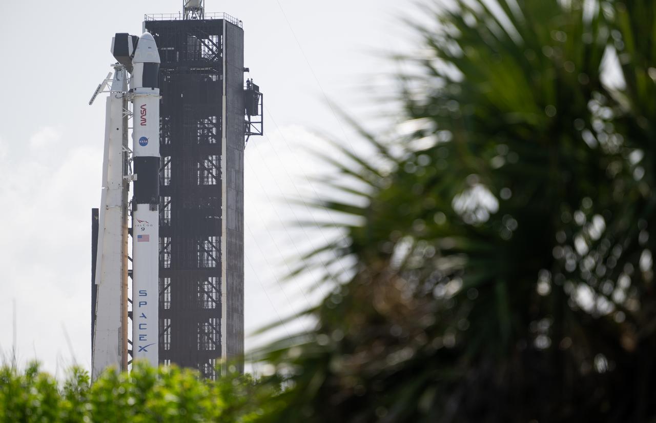 A SpaceX Falcon 9 rocket with the company's Dragon spacecraft on top is seen on the launch pad at Launch Complex 39A as preparations continue for the Crew-7 mission, Monday, Aug. 21, 2023, at NASA’s Kennedy Space Center in Florida. NASA’s SpaceX Crew-7 mission is the seventh crew rotation mission of the SpaceX Crew Dragon spacecraft and Falcon 9 rocket to the International Space Station as part of the agency’s Commercial Crew Program. NASA astronaut Jasmin Moghbeli, ESA (European Space Agency) astronaut Andreas Mogensen, Japan Aerospace Exploration Agency (JAXA) astronaut Satoshi Furukawa, and Roscosmos cosmonaut Konstantin Borisov are scheduled to launch at 3:49 a.m. EDT on Friday, August 25, from Launch Complex 39A at the Kennedy Space Center. Photo Credit: (NASA/Joel Kowsky)
