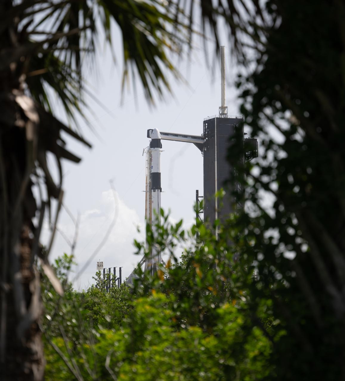 A SpaceX Falcon 9 rocket with the company's Dragon spacecraft on top is seen on the launch pad at Launch Complex 39A as preparations continue for the Crew-7 mission, Monday, Aug. 21, 2023, at NASA’s Kennedy Space Center in Florida. NASA’s SpaceX Crew-7 mission is the seventh crew rotation mission of the SpaceX Crew Dragon spacecraft and Falcon 9 rocket to the International Space Station as part of the agency’s Commercial Crew Program. NASA astronaut Jasmin Moghbeli, ESA (European Space Agency) astronaut Andreas Mogensen, Japan Aerospace Exploration Agency (JAXA) astronaut Satoshi Furukawa, and Roscosmos cosmonaut Konstantin Borisov are scheduled to launch at 3:49 a.m. EDT on Friday, August 25, from Launch Complex 39A at the Kennedy Space Center. Photo Credit: (NASA/Joel Kowsky)