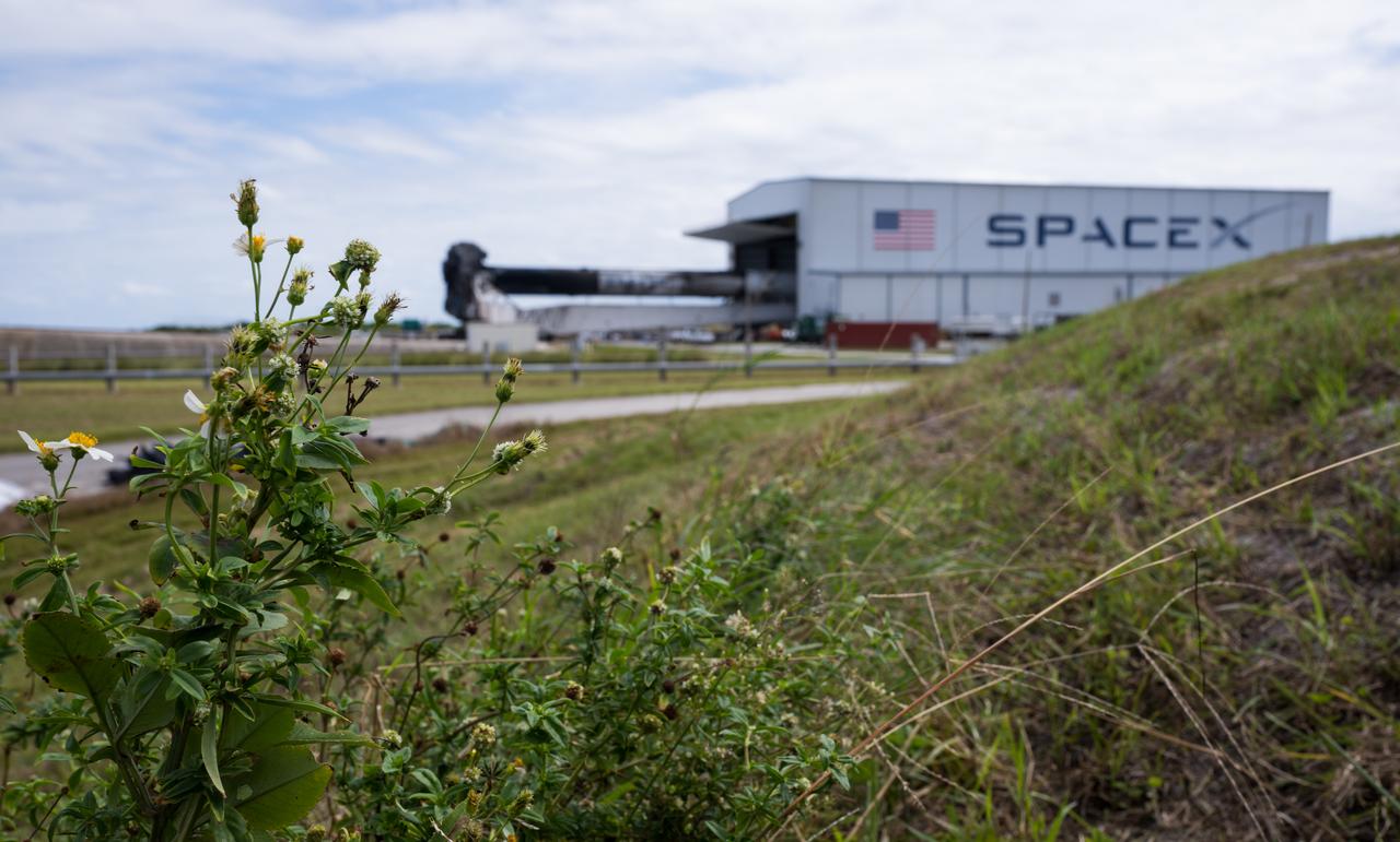 A SpaceX Falcon Heavy rocket with the Psyche spacecraft onboard is seen as it is rolled out of the horizontal integration facility at Launch Complex 39A as preparations continue for the Psyche mission, Tuesday, Oct. 10, 2023, at NASA’s Kennedy Space Center in Florida. NASA’s Psyche spacecraft will travel to a metal-rich asteroid by the same name orbiting the Sun between Mars and Jupiter to study it’s composition. The spacecraft also carries the agency's Deep Space Optical Communications technology demonstration, which will test laser communications beyond the Moon. Photo Credit: (NASA/Aubrey Gemignani)