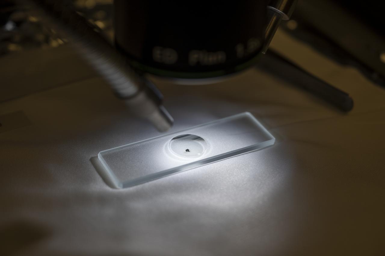 A sample from asteroid Bennu is seen prepared on a microscope slide, Friday, Nov. 3, 2023, at the Smithsonian’s National Museum of Natural History in Washington. The sample was collected from the carbon rich near Earth asteroid Bennu in October 2020 by NASA’s OSIRIS-REx spacecraft.  Photo Credit: (NASA/Keegan Barber)