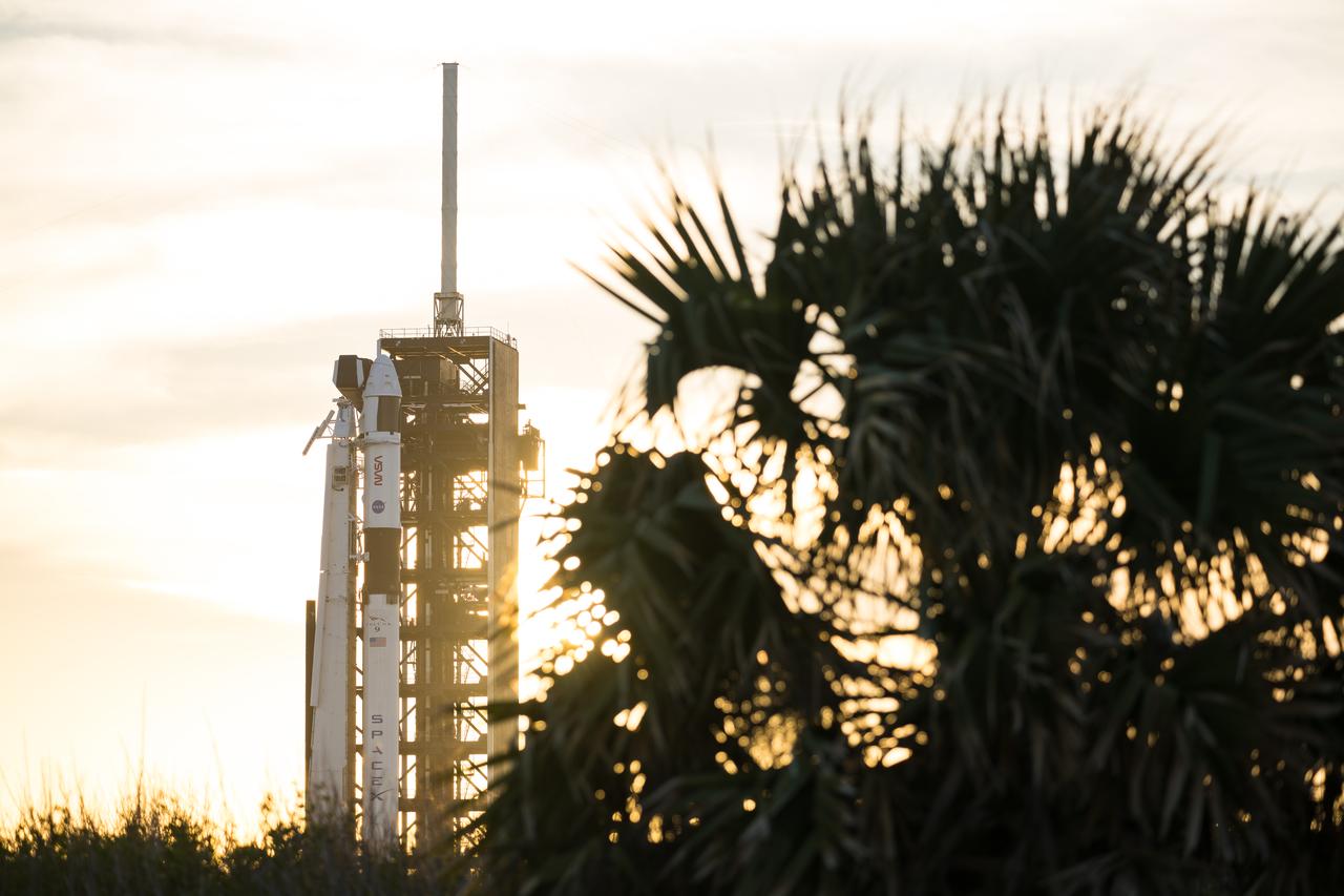 A SpaceX Falcon 9 rocket with the company's Dragon spacecraft on top is seen during sunset on the launch pad at Launch Complex 39A as preparations continue for the Crew-8 mission, Tuesday, Feb. 27, 2024, at NASA’s Kennedy Space Center in Florida. NASA’s SpaceX Crew-8 mission is the eighth crew rotation mission of the SpaceX Crew Dragon spacecraft and Falcon 9 rocket to the International Space Station as part of the agency’s Commercial Crew Program. NASA astronauts Matthew Dominick, Michael Barratt, Jeanette Epps, and Roscosmos cosmonaut Alexander Grebenkin are scheduled to launch at 12:04 a.m. EST on Friday, March 1, from Launch Complex 39A at the Kennedy Space Center. Photo Credit: (NASA/Aubrey Gemignani)