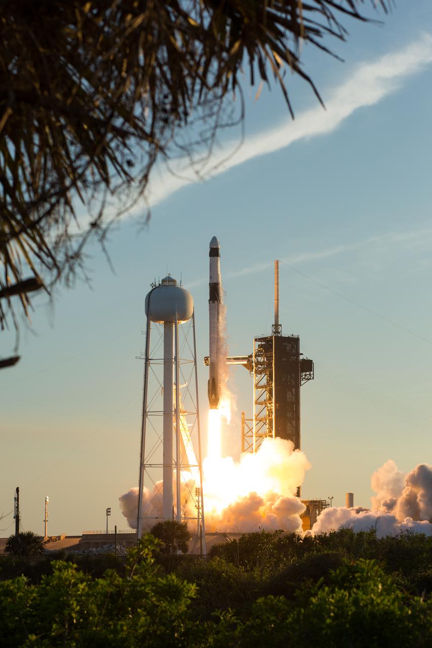 A SpaceX Falcon 9 rocket carrying the company's Dragon spacecraft is launched on NASA’s SpaceX Crew-10 mission to the International Space Station with NASA astronauts Anne McClain and Nichole Ayers, JAXA (Japan Aerospace Exploration Agency) astronaut Takuya Onishi, and Roscosmos cosmonaut Kirill Peskov onboard, Friday, March 14, 2025, from NASA's Kennedy Space Center in Florida. NASA’s SpaceX Crew-10 mission is the tenth crew rotation mission of the SpaceX Dragon spacecraft and Falcon 9 rocket to the International Space Station as part of the agency’s Commercial Crew Program. McClain, Ayers, Onishi, and Peskov launched at 7:03 p.m. EDT from Launch Complex 39A at the NASA's Kennedy Space Center to begin a six month mission aboard the orbital outpost. Photo Credit: (NASA/Aubrey Gemignani)